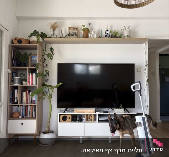 תליית מדף צף מאיקאה.
